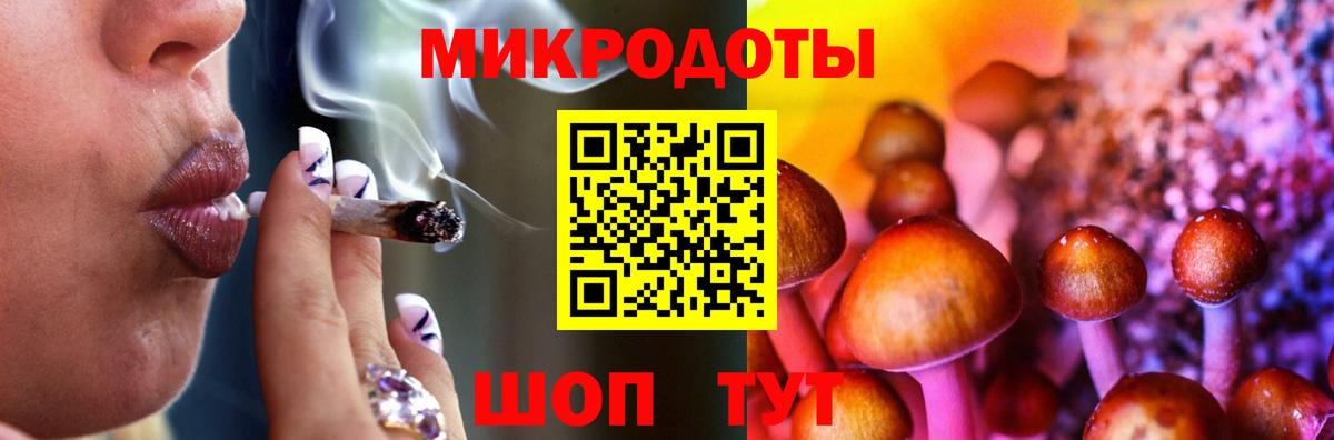 Галлюциногенные грибы Cubensis Кунгур