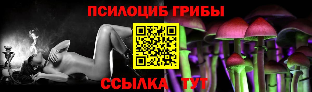 Галлюциногенные грибы MAGIC MUSHROOMS  Вход с VPN  Кунгур 